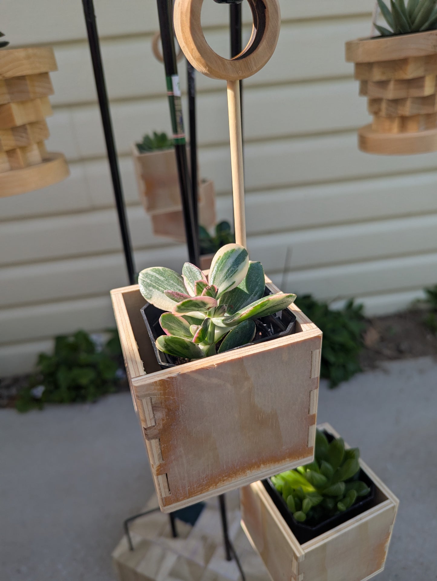 Hanging Planter Boxes