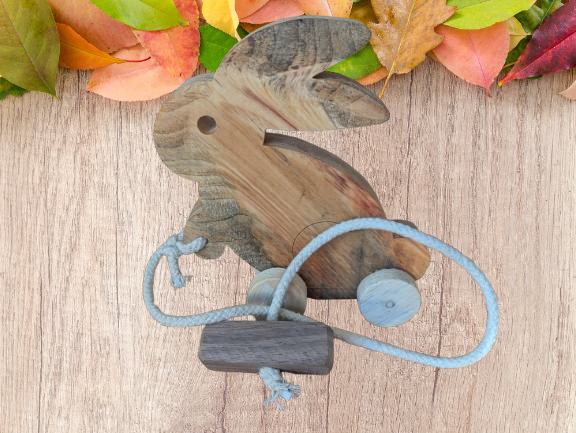 Rabbit Pull Toy